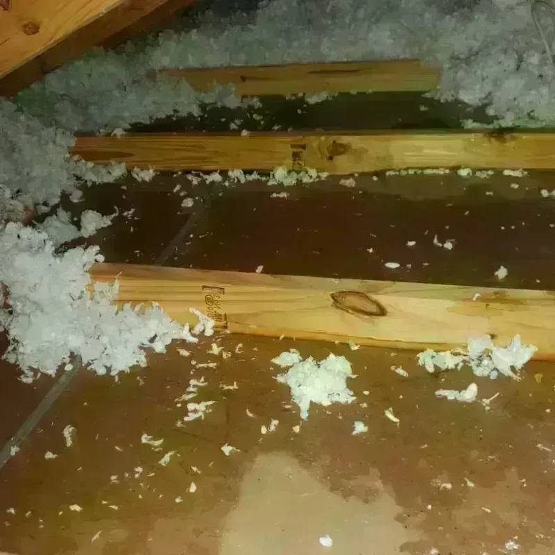 Attic Water Damage in Beverly Hills, FL